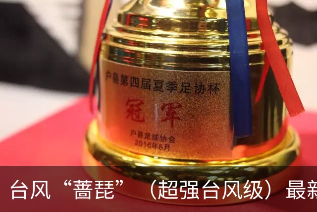 台风“蔷琵”（超强台风级）最新路径公布，最大风力达17级，将给浙沪闽台带来强风雨，或在福建二次登陆
