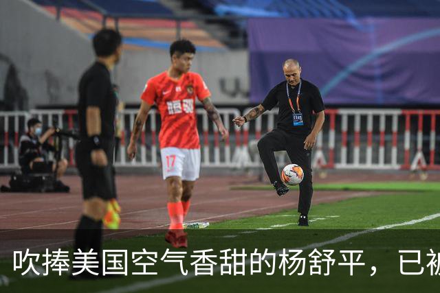 吹捧美国空气香甜的杨舒平，已被美国驱逐出境，回国后处境悲凉
