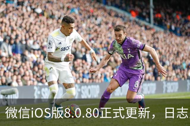微信iOS版8.0.80正式更新，日志只写了这一句