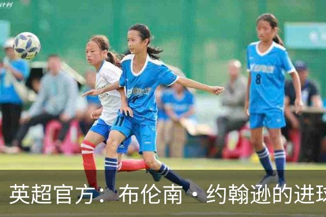 英超官方：布伦南·约翰逊的进球经VAR介入后取消，原判存在失误