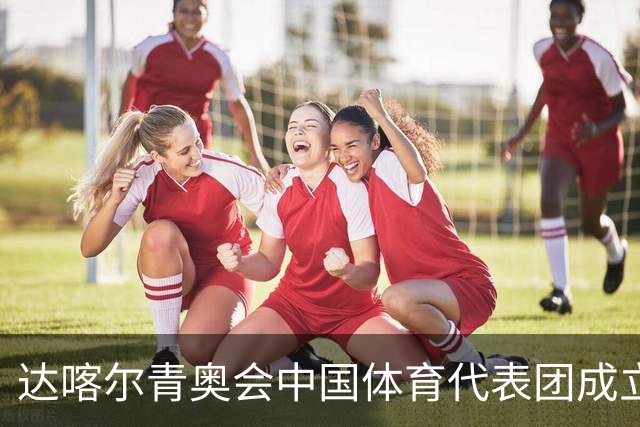 达喀尔青奥会中国体育代表团成立
