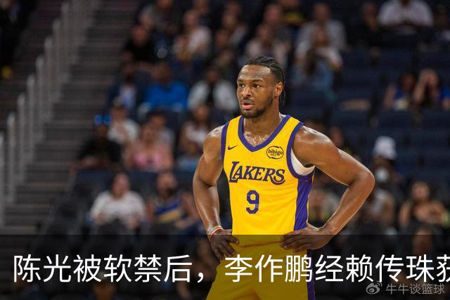 陈光被软禁后，李作鹏经赖传珠获两大疑点，罗帅劝你别插手！
