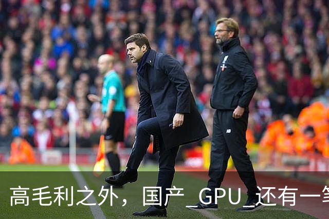 高毛利之外，国产 GPU 还有一笔 “软件账”