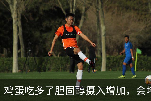 鸡蛋吃多了胆固醇摄入增加，会堵血管？本文说出实情