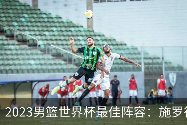 2023男篮世界杯最佳阵容：施罗德东契奇领衔